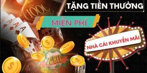 Win777 | Hoàn Trả Tức Thì 1,8% - Hưởng Ưu Đãi Lớn Với Nhà Cái
